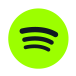 Icone Spotify
